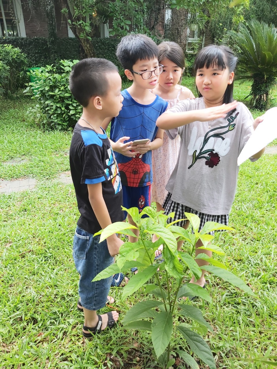 Giao tiếp nâng cao